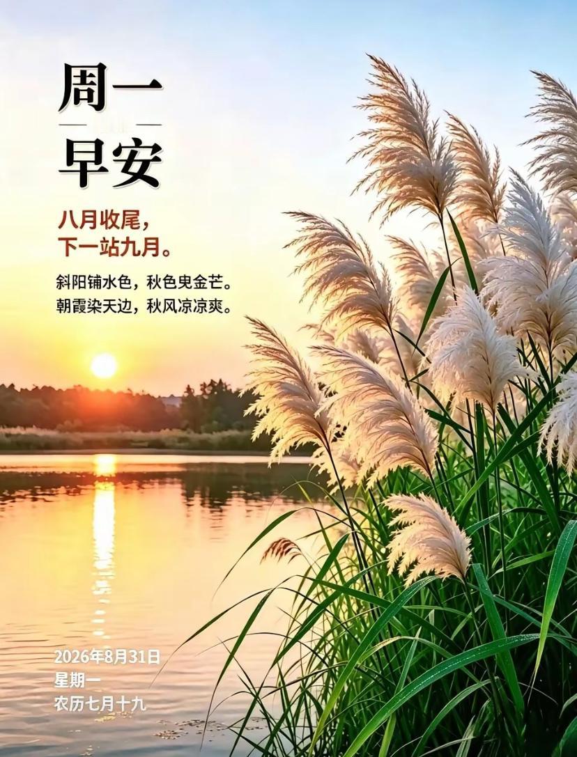 [福]2026./8月31日，秋晨清风相慰人间，静心以待秋荻丰盈[福]

☘️?