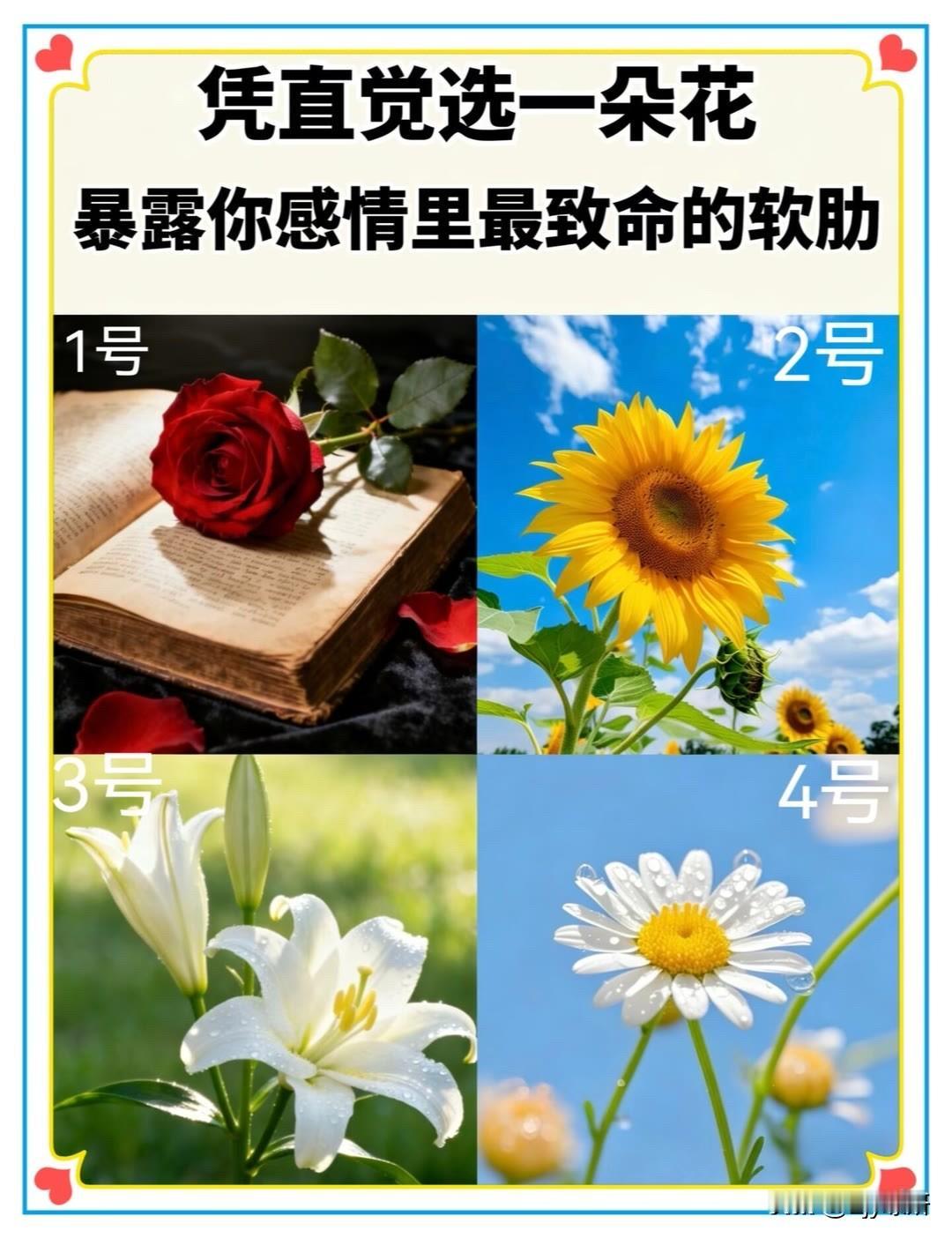 华境S全球首秀标配华为乾崑凭直觉选一朵花暴露你感情里最致命的软肋