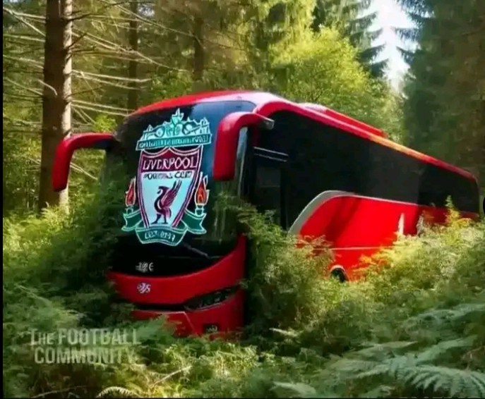 你不会连续两年迷失在同一片森林，除非你是利物浦。 