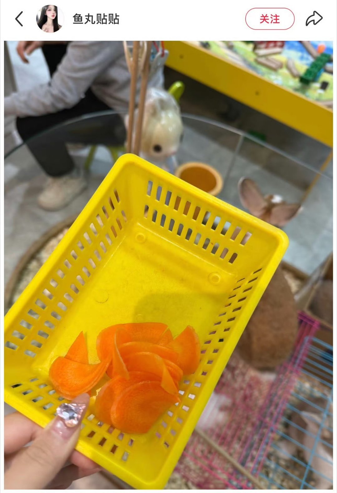 宁波一乐园30元一根胡萝卜喂兔子两次不同量 网友反馈带孩子去，就是冲着喂兔子的，