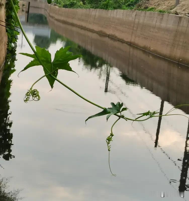 上联：一卷闲诗香岁月，
下联：两支劲舞美时光。