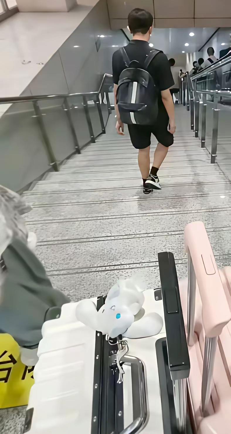 人到了中年再刷到行李箱吐槽这桩热事，
蕞大的荒唐，
是我们从小教孩子要乐于助人，