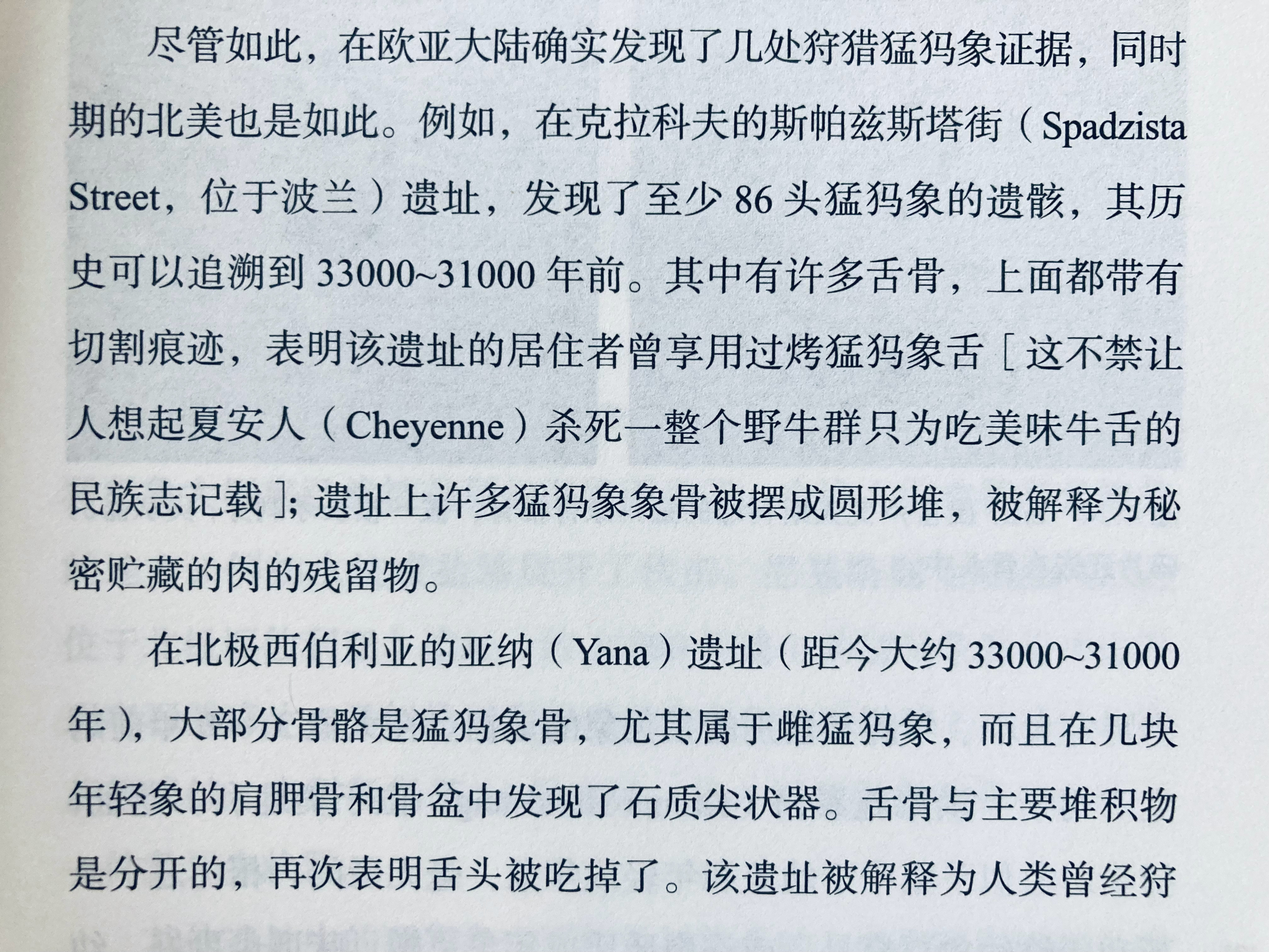 牛舌真的好吃