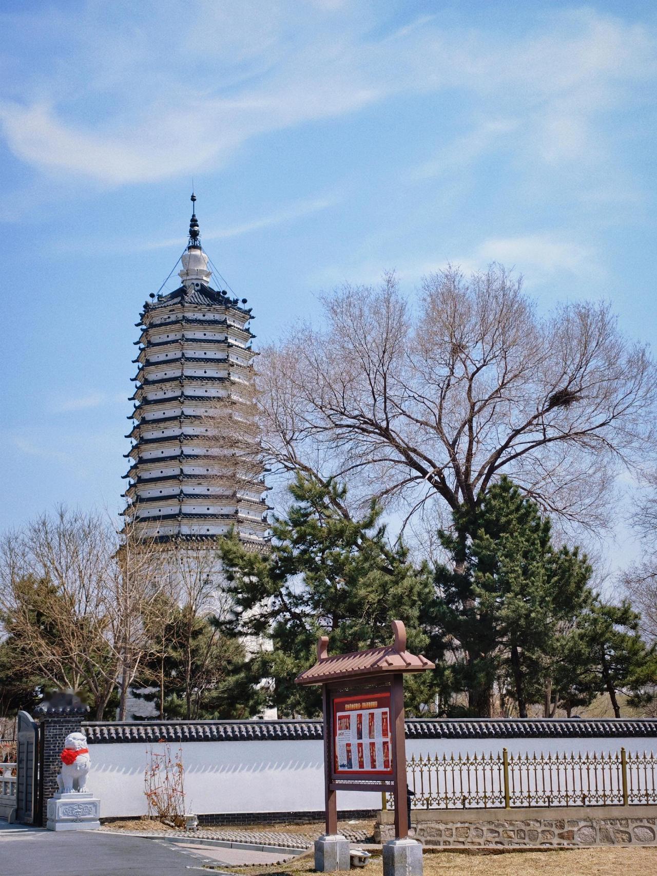 沈阳春天赏花就来这里，回龙寺+舍利塔，桃花和粉白玉兰都开了，唐风古建配满院繁花，