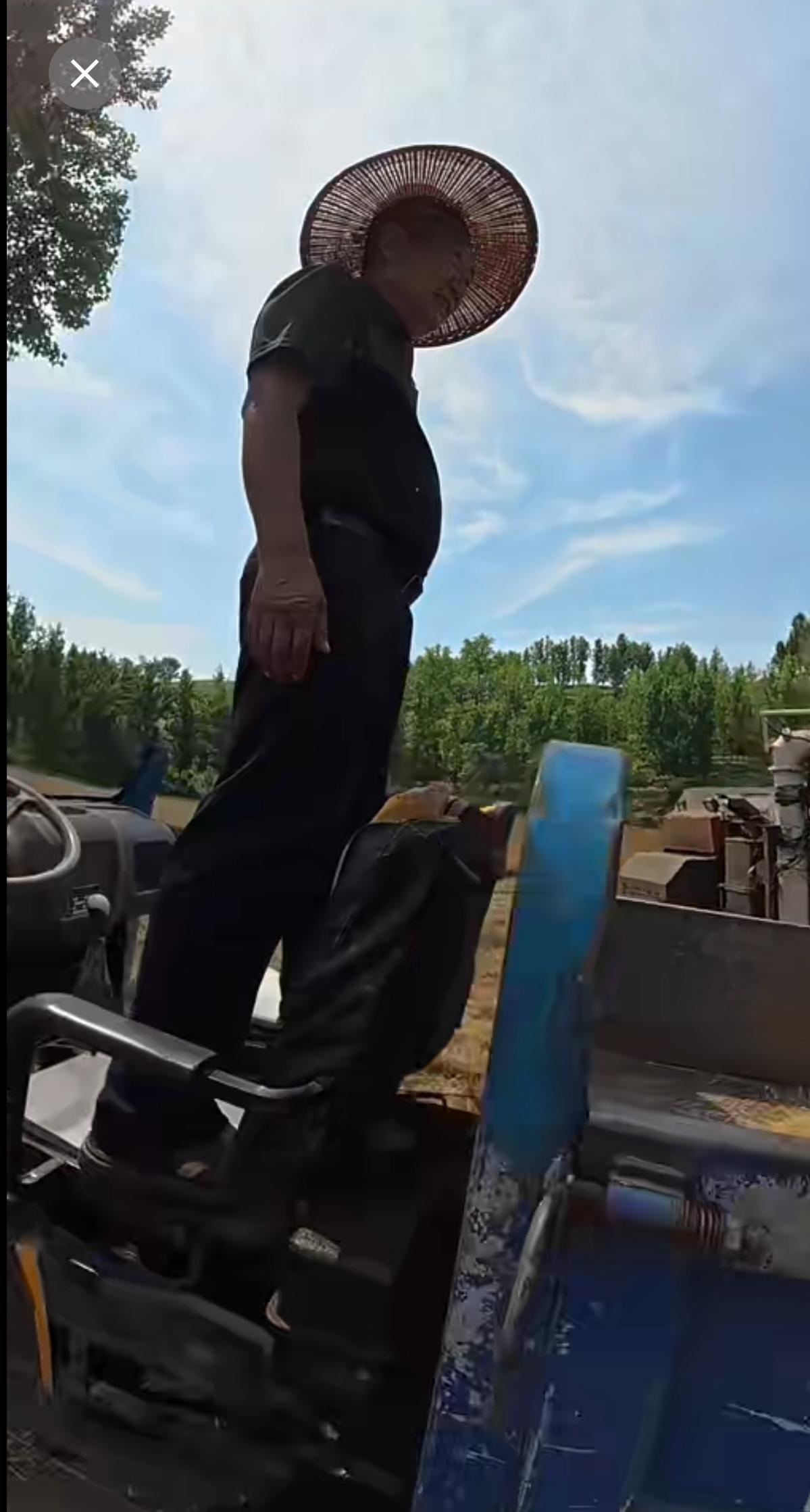 分享一下你随手拍下的照片汝阳洪呤收麦忙