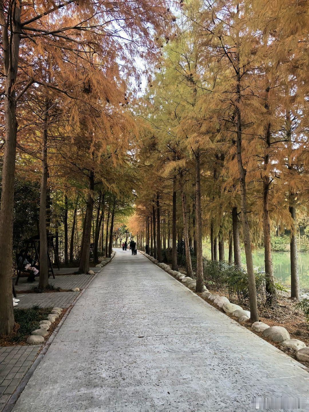 新壁纸  早安！ 