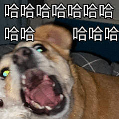 多大年纪的算老登？ 