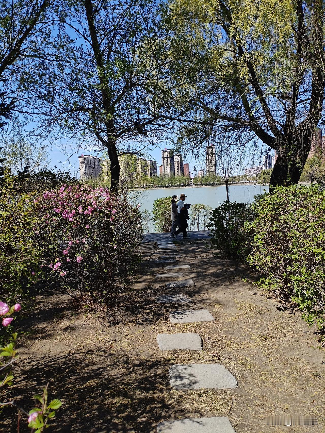 南湖夏景
青石小径向南湖，
花鲜柳翠绘锦图。
碧波卷起拍堤岸，
请续句……
（芊