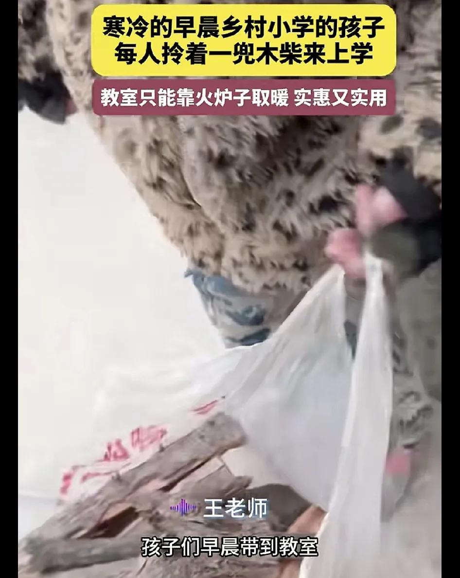 12月30日，甘肃一位网友分享了当地小学生上学时带柴火的日常，网友说在他们那边农