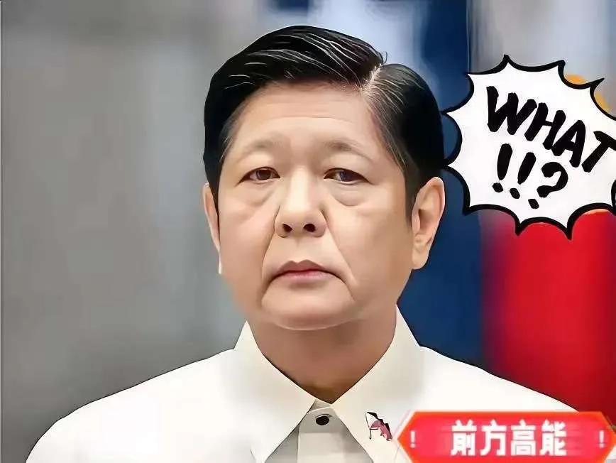 11月9日菲律宾减灾委发布的数据扎心——台风“海鸥”撕开224条生命、109人失