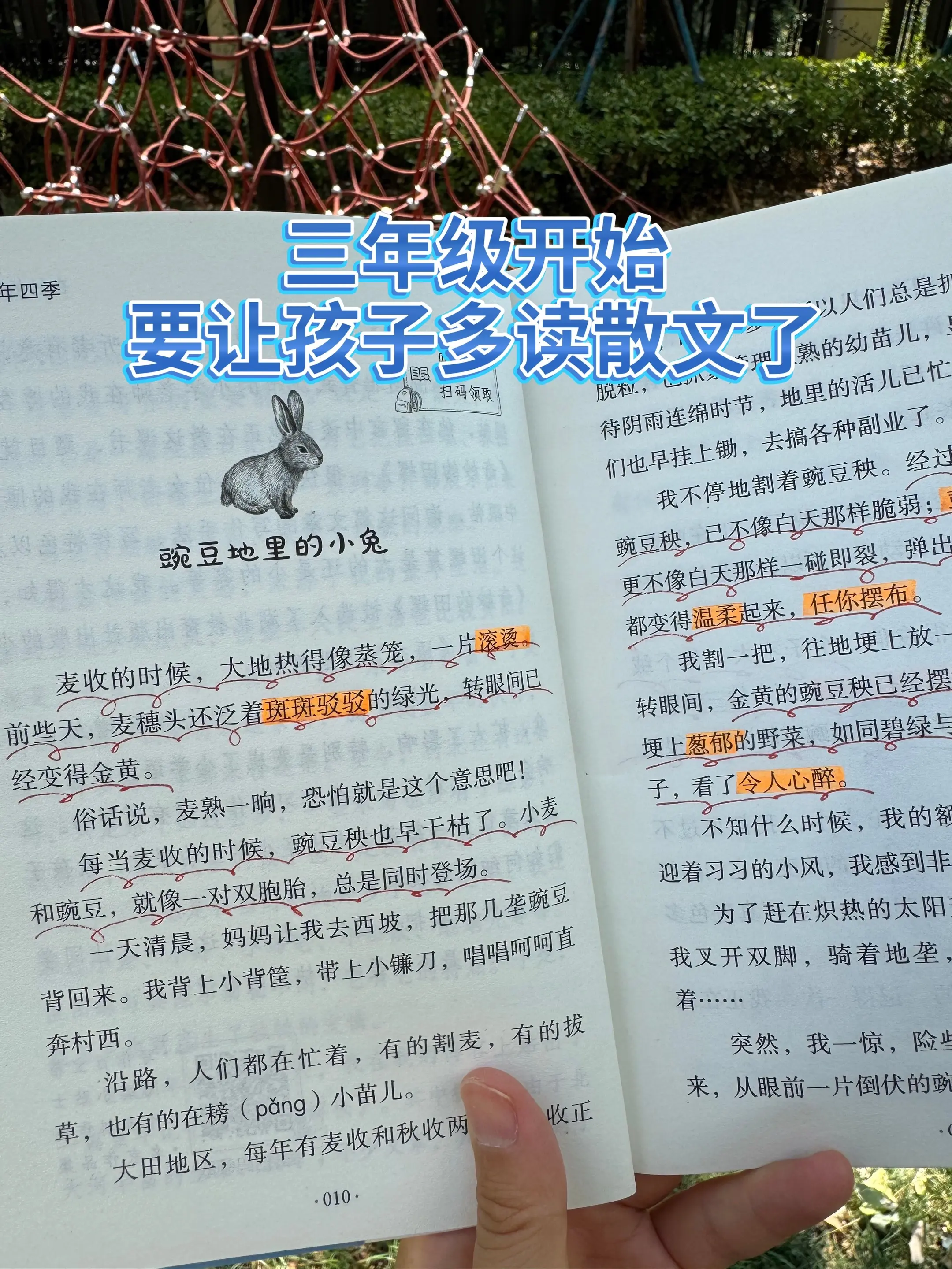 三年级开始，孩子就要多读名家散文📚。深入感受文字的魅力✨书中每篇佳作...