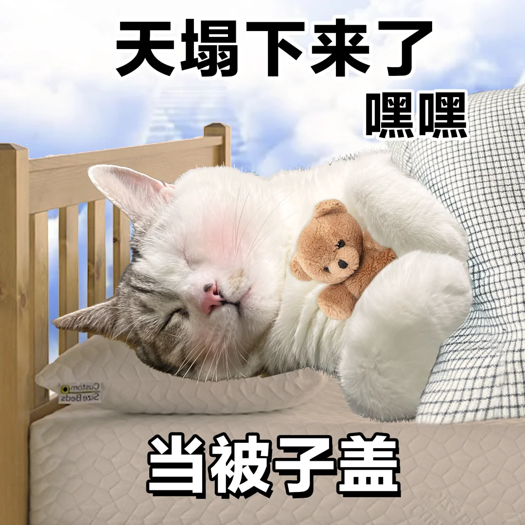 表情包 | 抽象人嘿嘿的一生