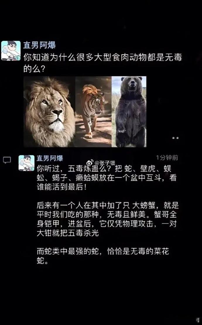 为什么越强的动物，越是无毒？  