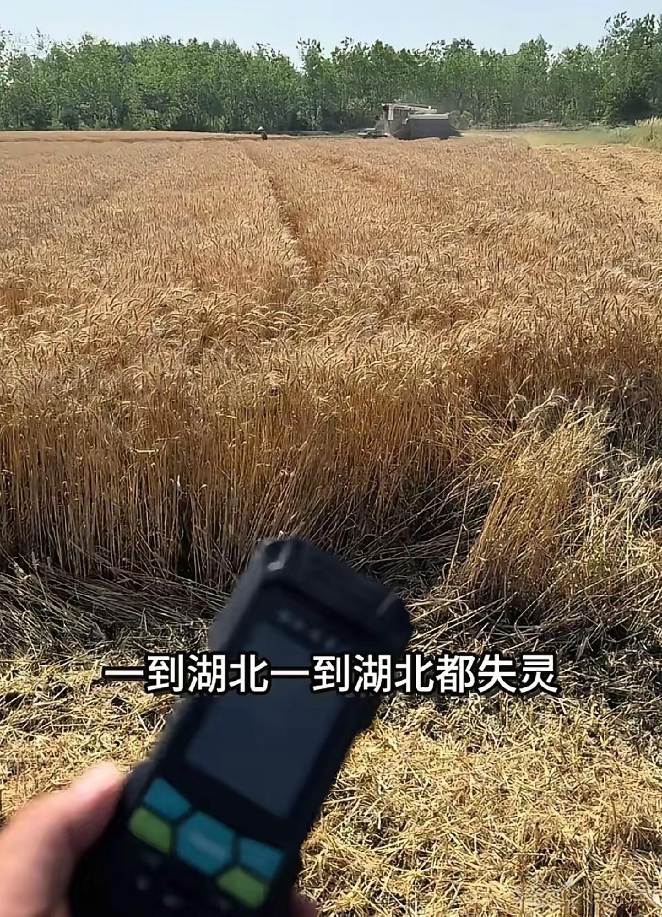 25岁的农机手叫龙飞，河南驻马店人。5月20号，他发了个视频，说要到湖北荆门钟祥