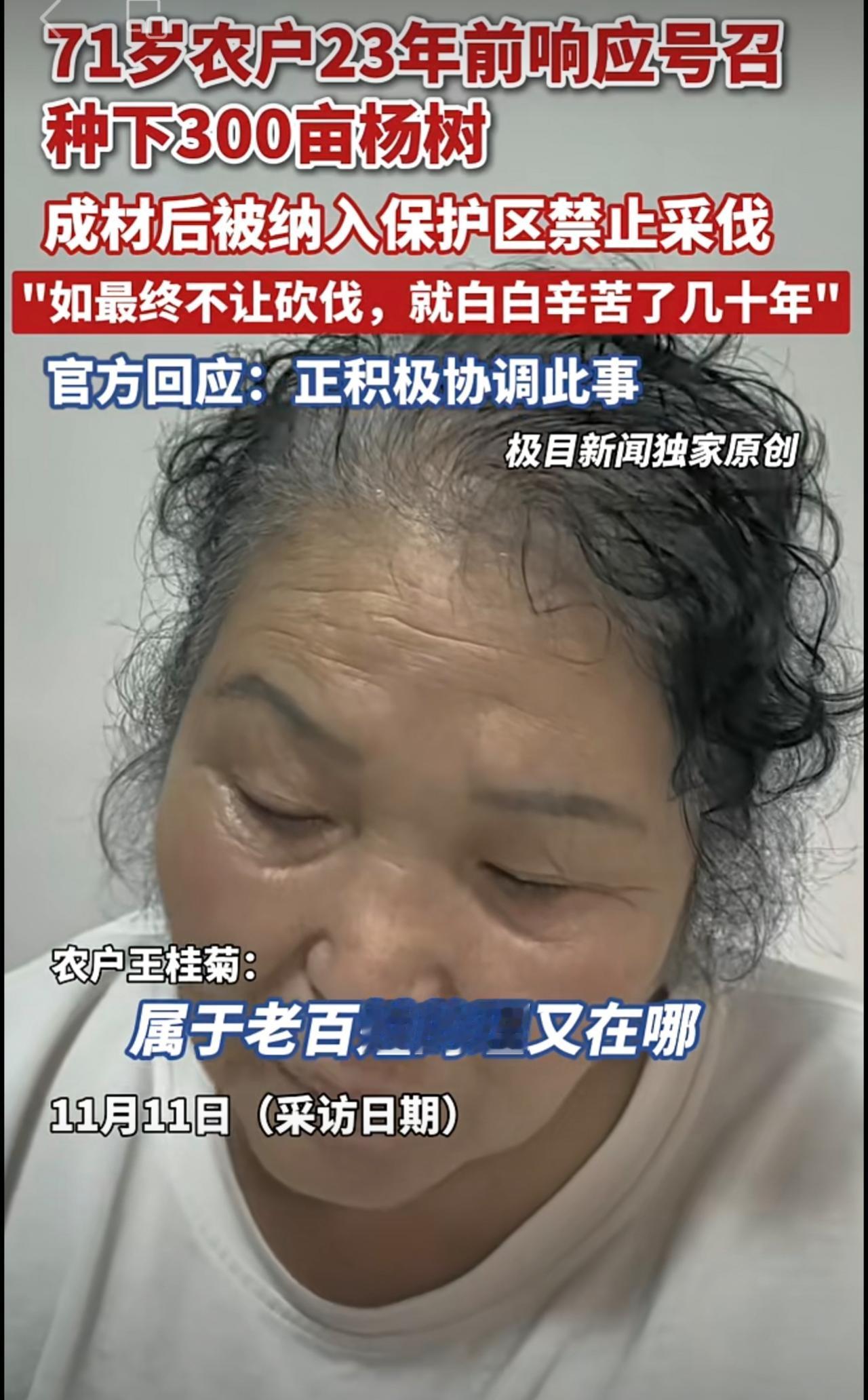 农户23年前响应号召种下300亩杨树，成材后发现被纳入保护区禁止采伐，官方回应（