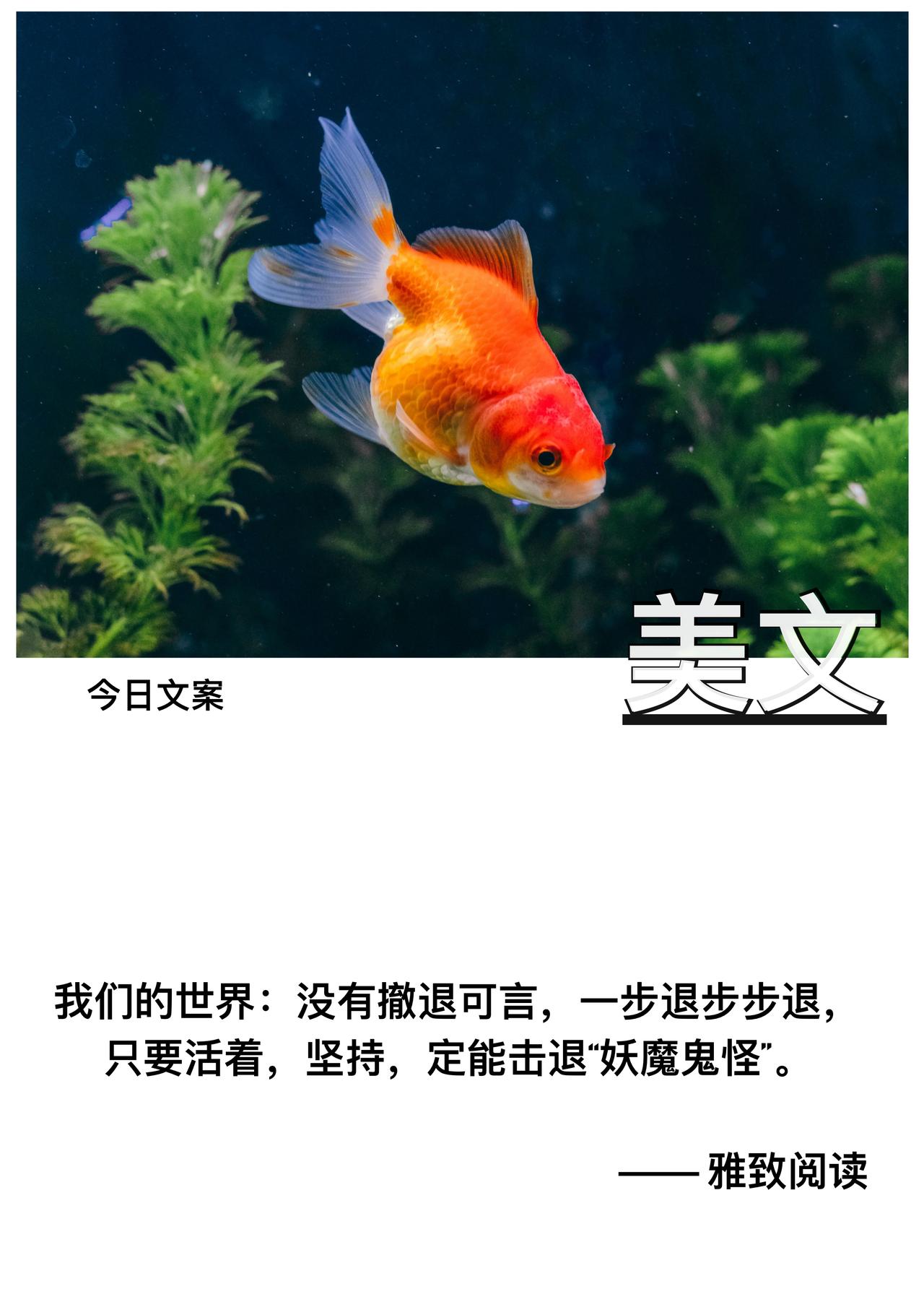 我们的世界

没有撤退可言

一步退步步退

只要活着

坚持

定能击退“妖魔