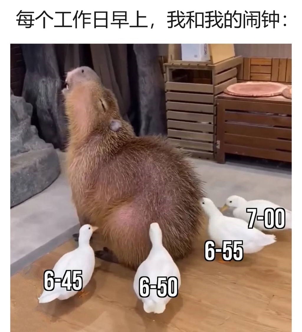 [允悲] ​​​