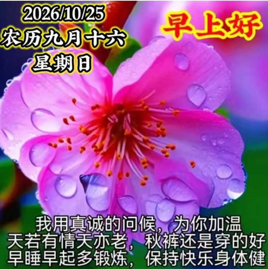 笑迎清晨又一天，
先把祝福送身边；
相互牵挂心中暖，
感恩今生能相遇；
千言万语