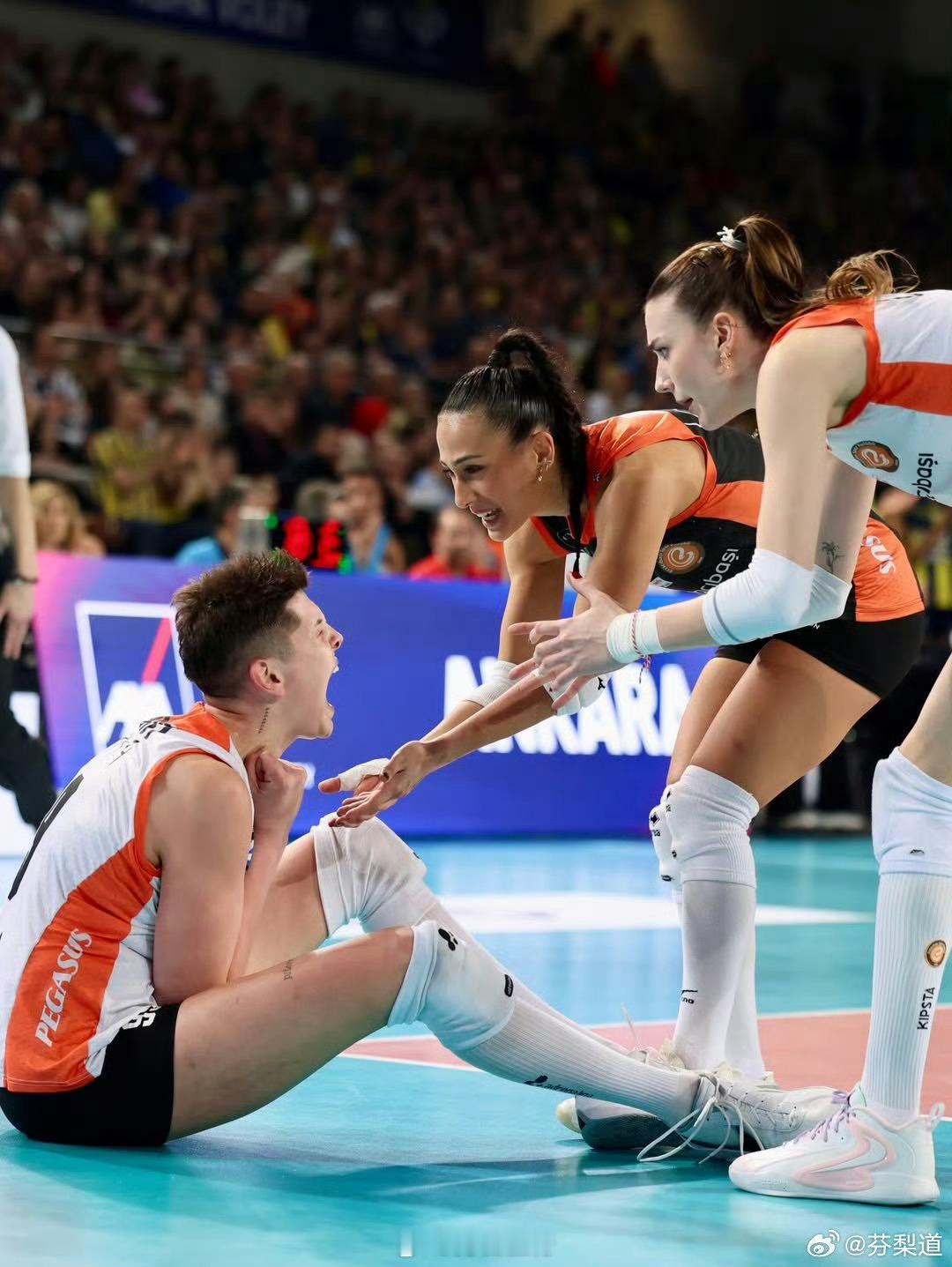 VNL官方列出的女排高个子球员，排在前三的斯梅雷克205cm、雷特克203cm、