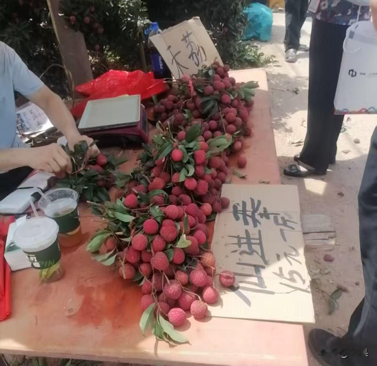 禾荔
好吃是好吃，
就是贵了