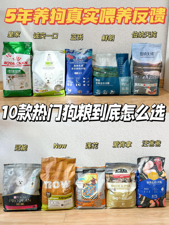 10款狗粮5年喂养真实反馈