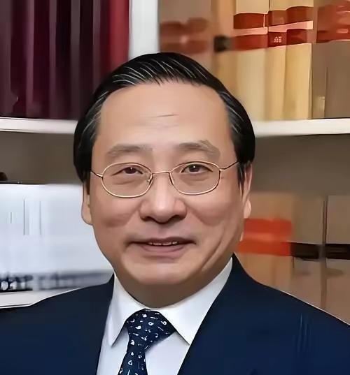 针对当前中日关系，学者高志凯在2024年的讨论中提出了包括对等制裁在内的综合反制