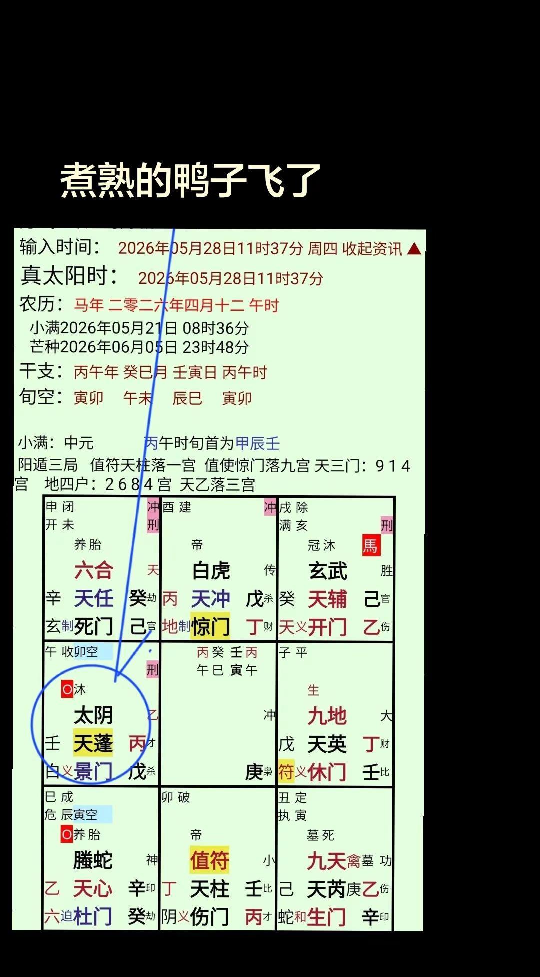 丙+戊。