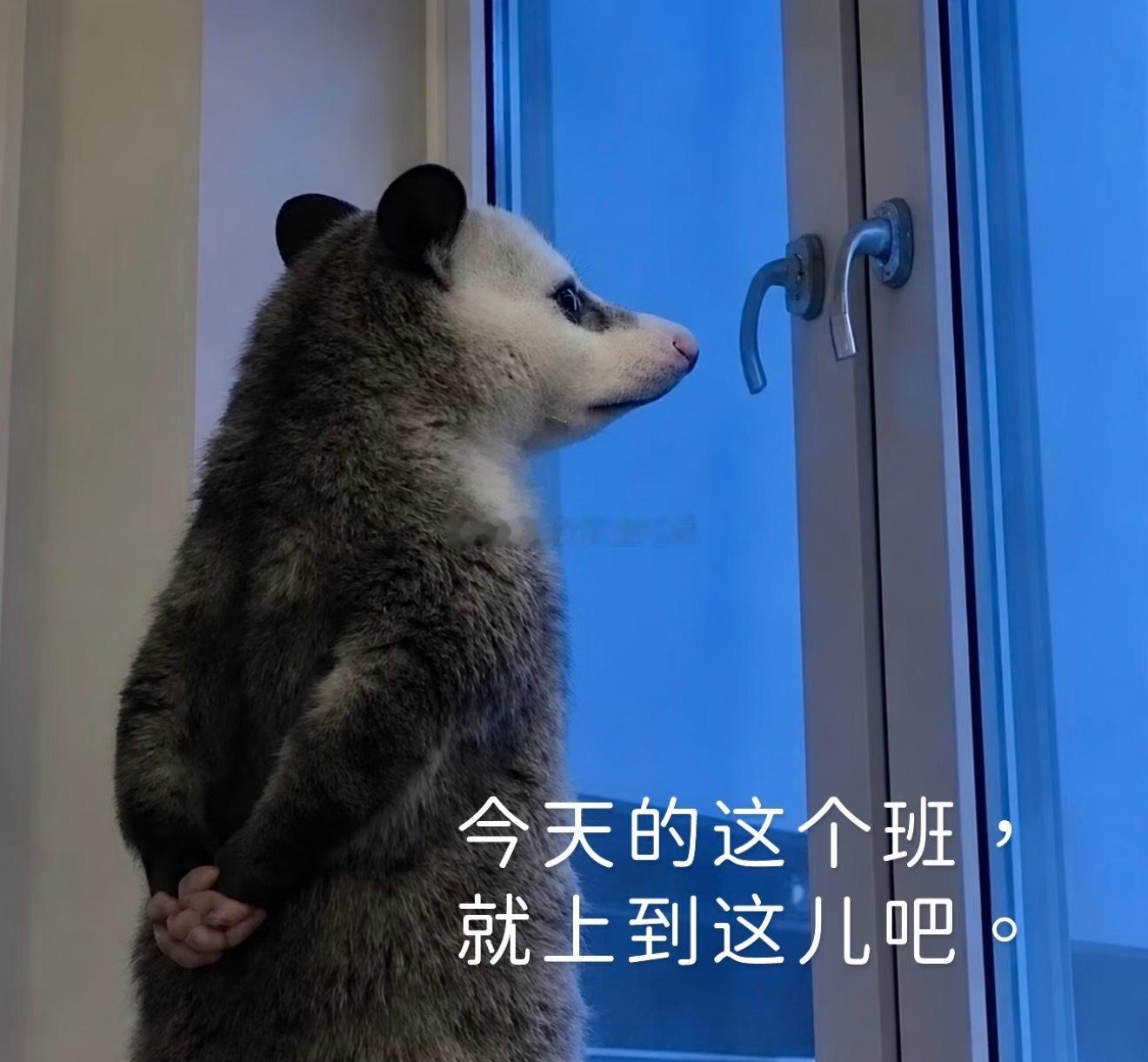 黄金晚上抓个大空单瀑布收工了，周末愉快，晚上凌晨就不建议大家去操作了黄金文物