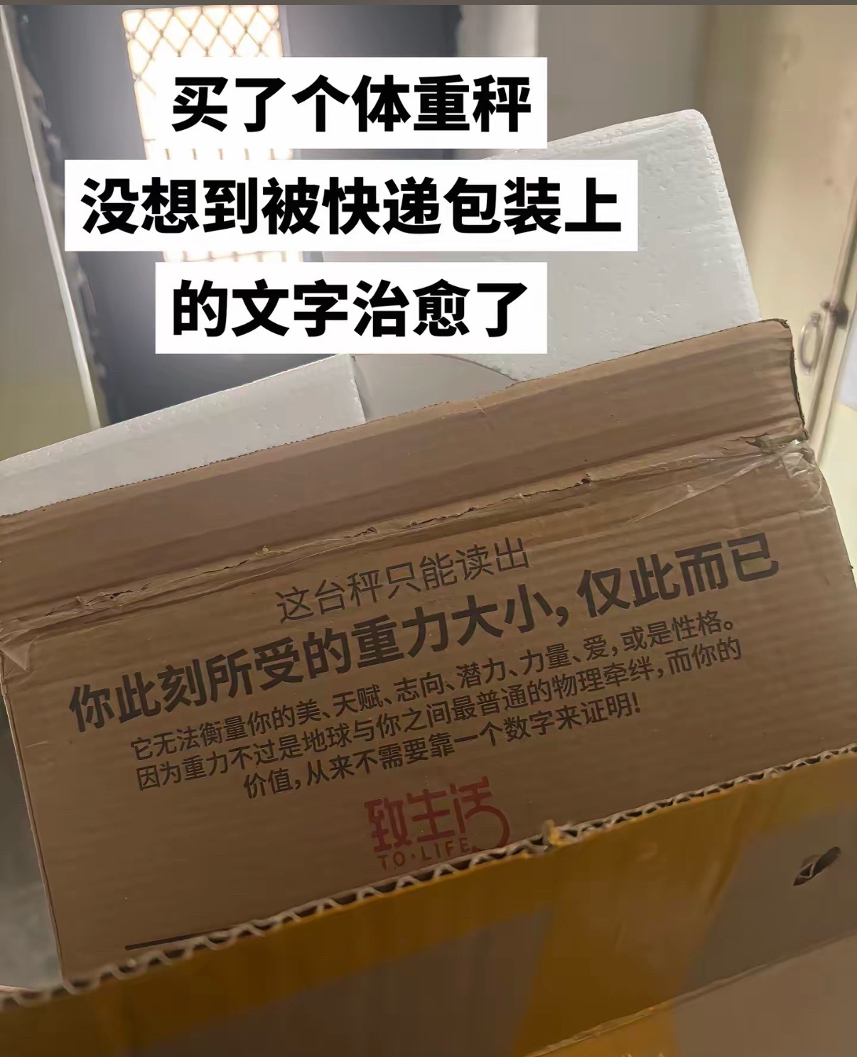 格局打开🫴🏻🫴🏻 