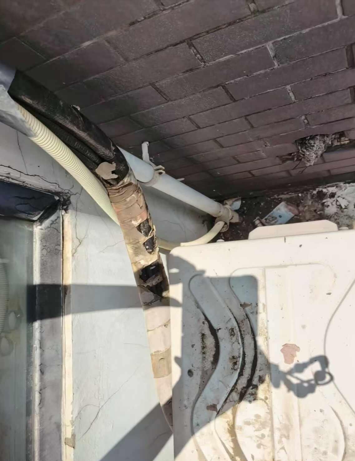 老小区空调漏水维权血泪史⚠️
住一楼带院的人间理想，先迎来了夏天院子里的"小河潺