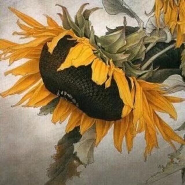 感觉只要是在别人的主场辽篮都是被黑哨的，而在辽篮的主场却从来没有过！ 