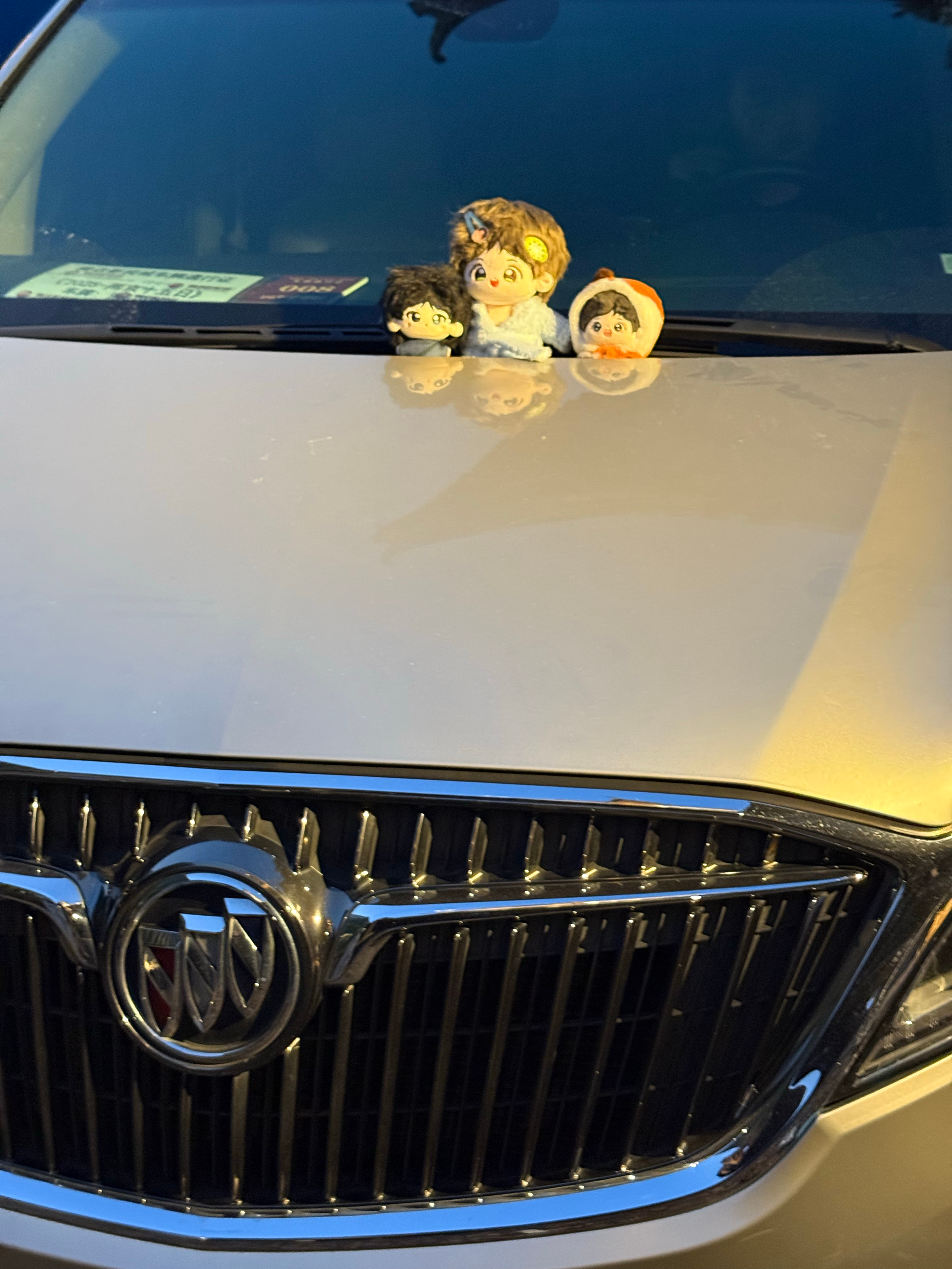 我的娃是又打上卡了，没想到车里有人，静静的看着我们拍 