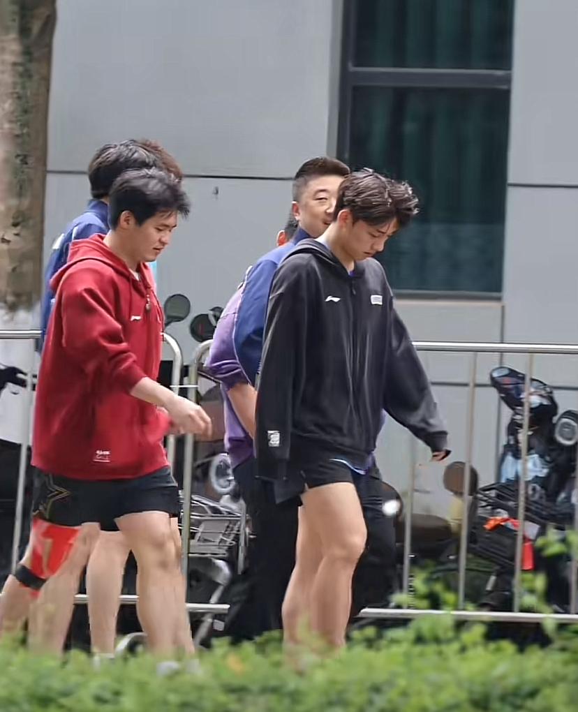 意料之外，伦敦世乒赛林诗栋腿上缠着胶带。
2个细节尽显成熟。
比赛的日子越来越近