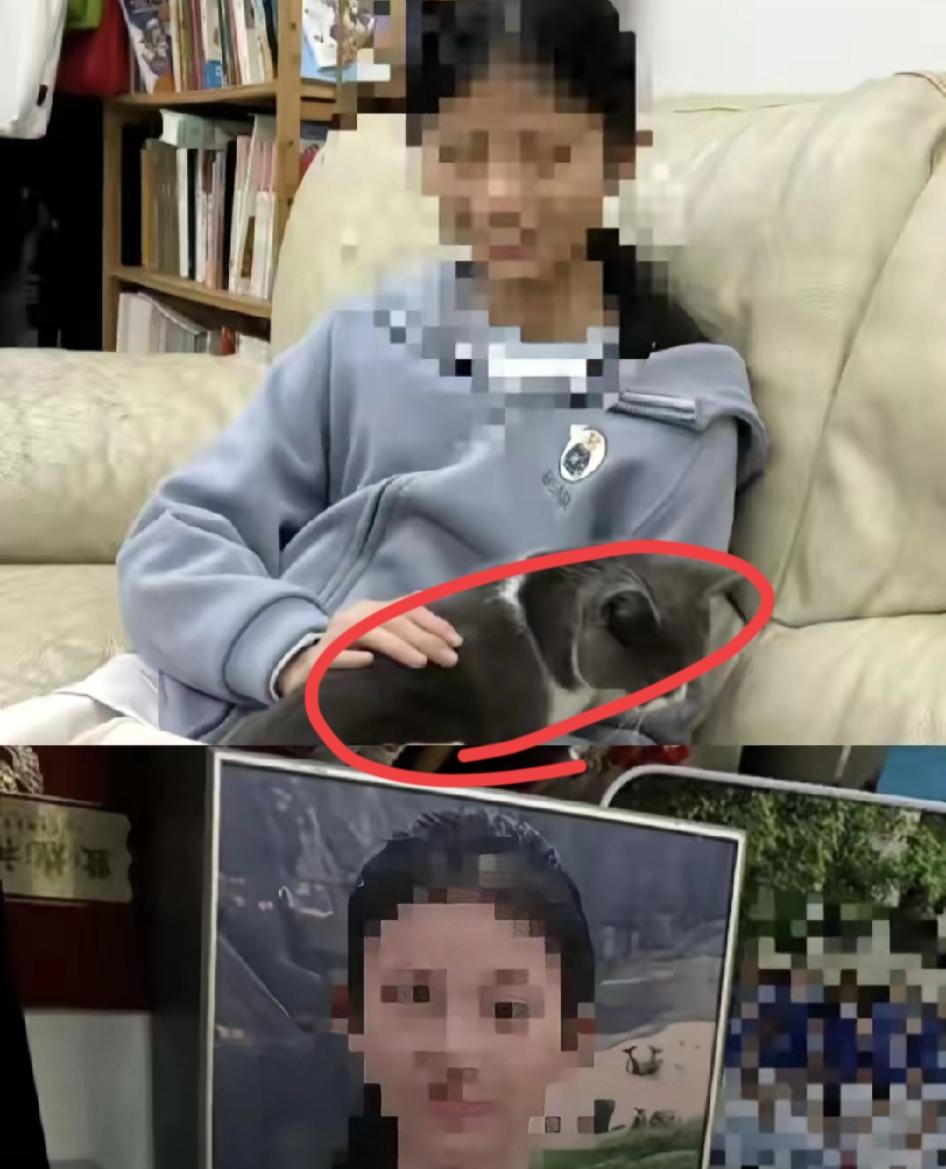 “深圳14岁男孩捅死女同学，

比刀子更冷的是这三点！”
 
14岁男孩揣着折叠