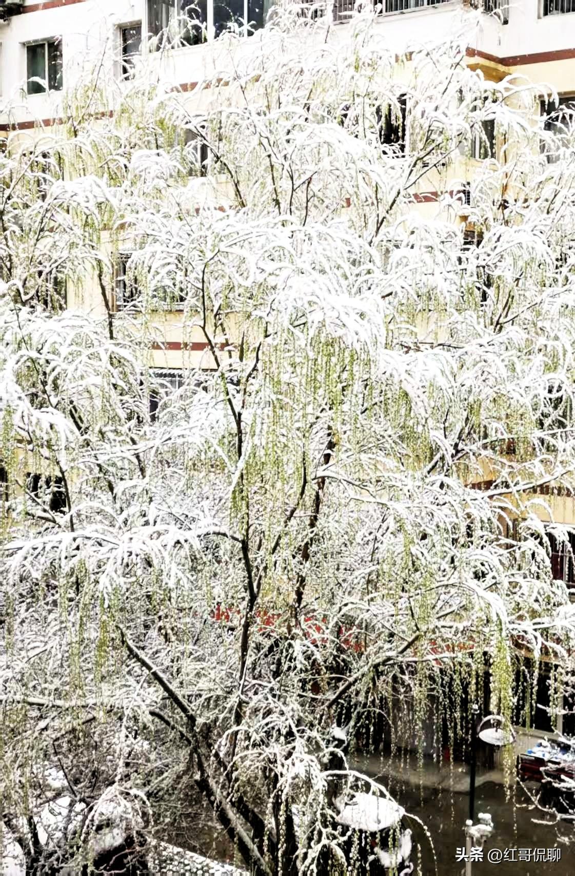 问AI，原来是这个原因：
拉萨车站站内严禁拍照，核心是国防安全+公共安全+安防保