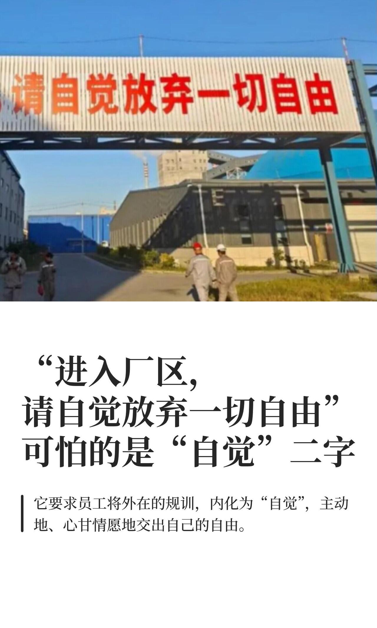 广西有个叫“恒逸”的公司，大门口挂了条标语，直接写着：“进入厂区，请自觉放弃一切