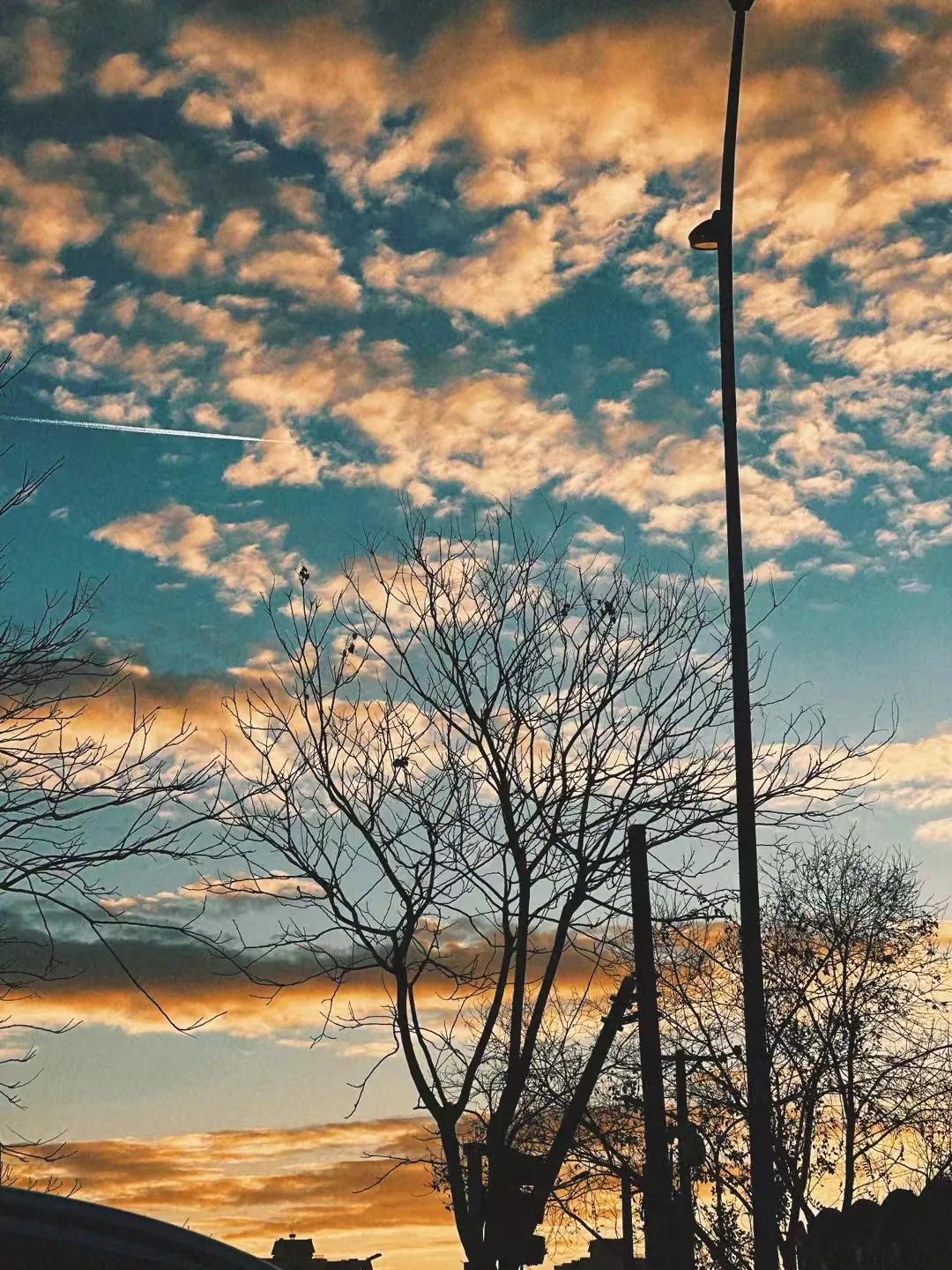 此💙光明，亦复何言