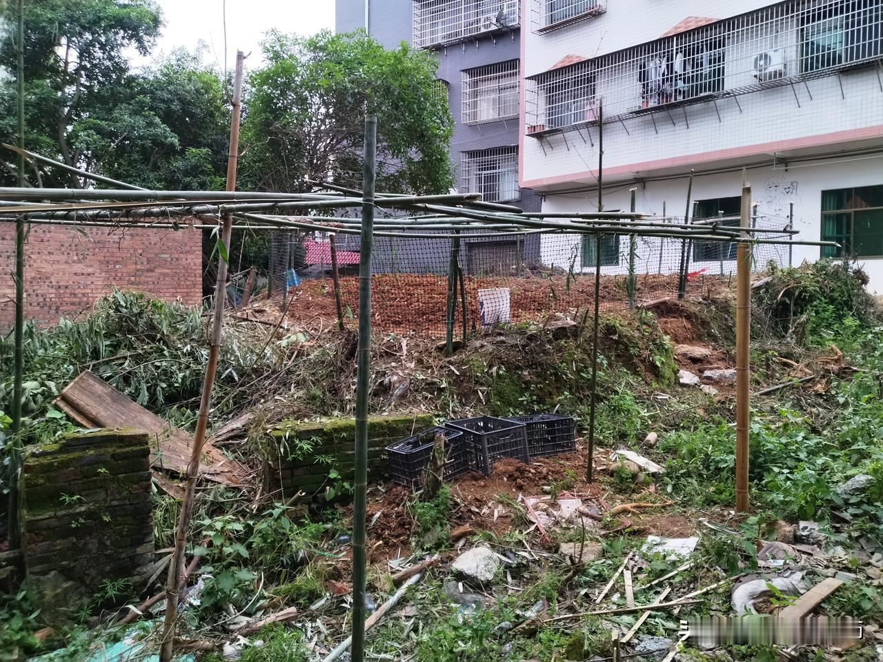 房屋旁有一片空地，杂草与灌木肆意生长。
邻居是东安某单位退休的老头，他耗费三天光