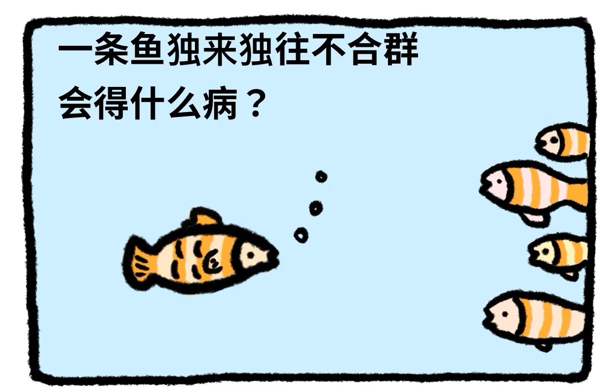 一条鱼独来独往不合群会得什么病？ ​​​