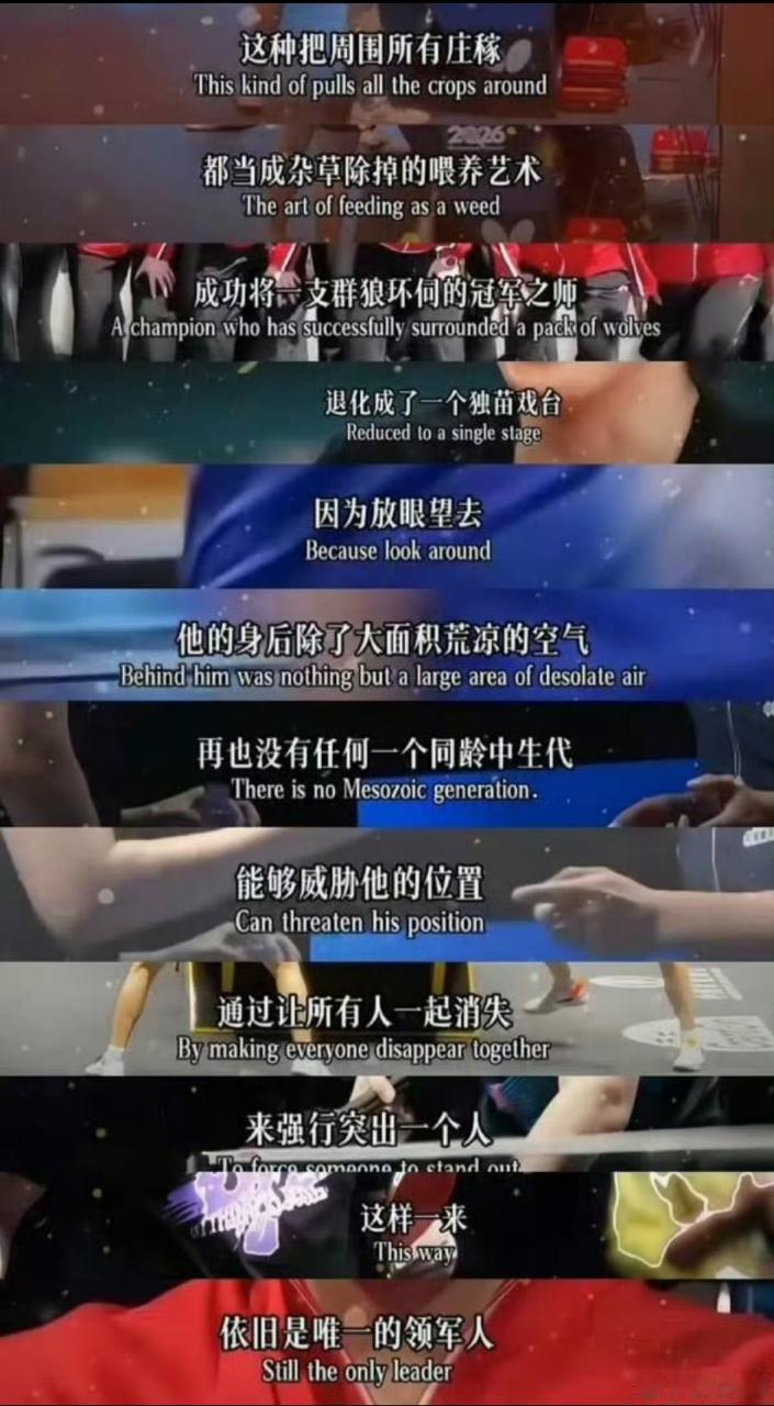 国乒男乒现状：周围寸草不生，唯剩毒苗！亡队！wc坑长！国乒 体系崩坏