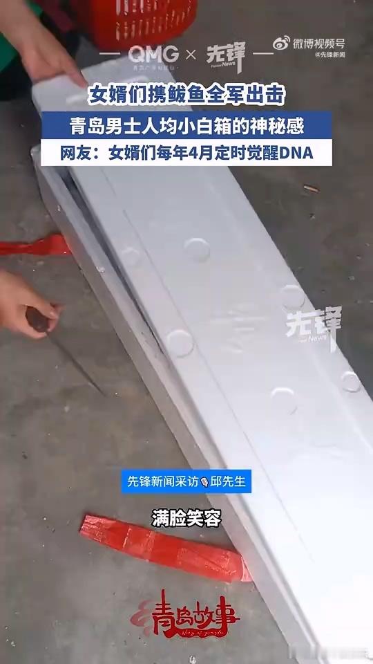 青岛女婿的DNA每年4月定时觉醒 看青岛女婿的DNA觉醒，原来每年这个时候，送鲅