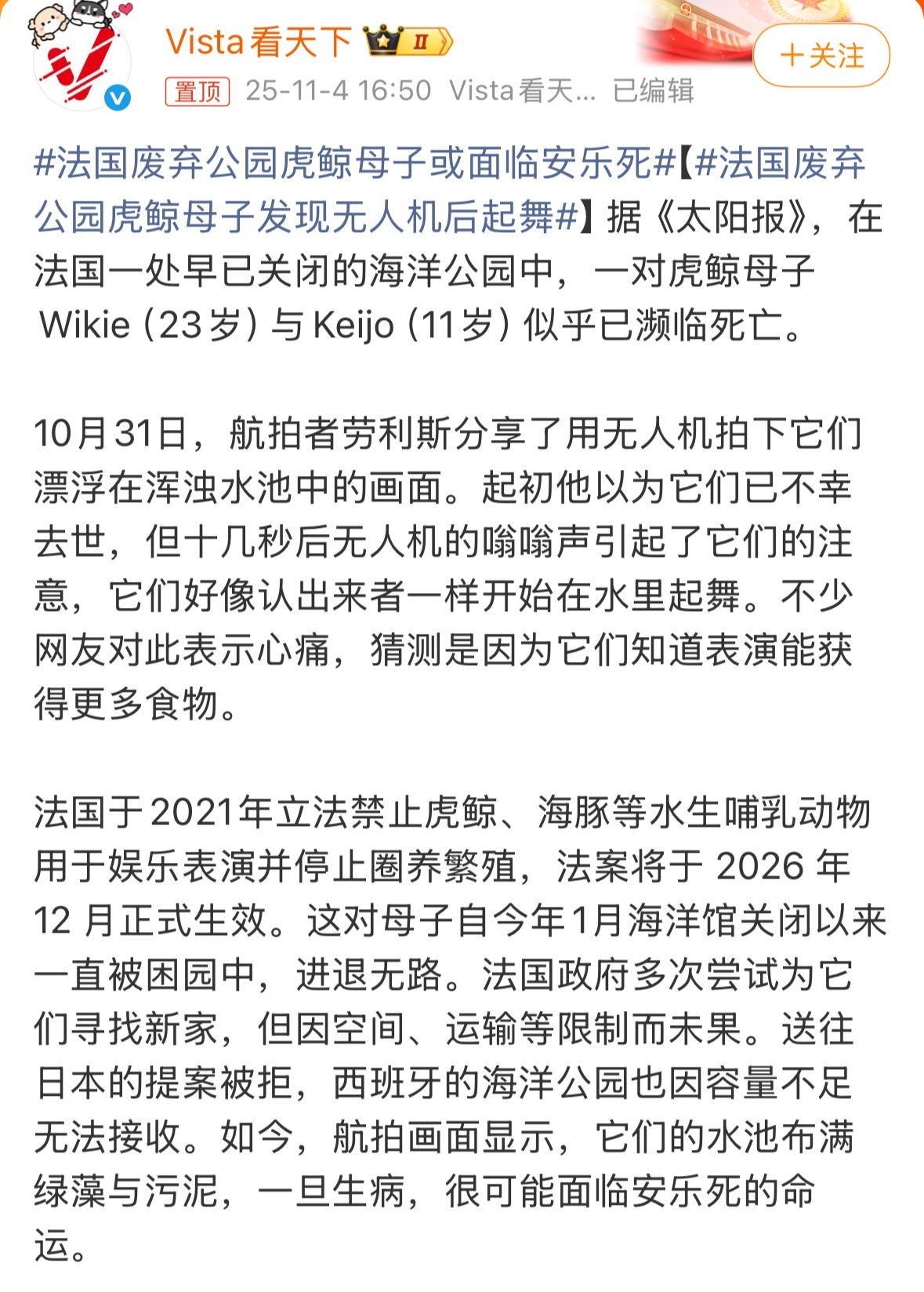 法国废弃公园虎鲸母子或面临安乐死上次是加拿大，这次是法国，这些以人权和动物保护为