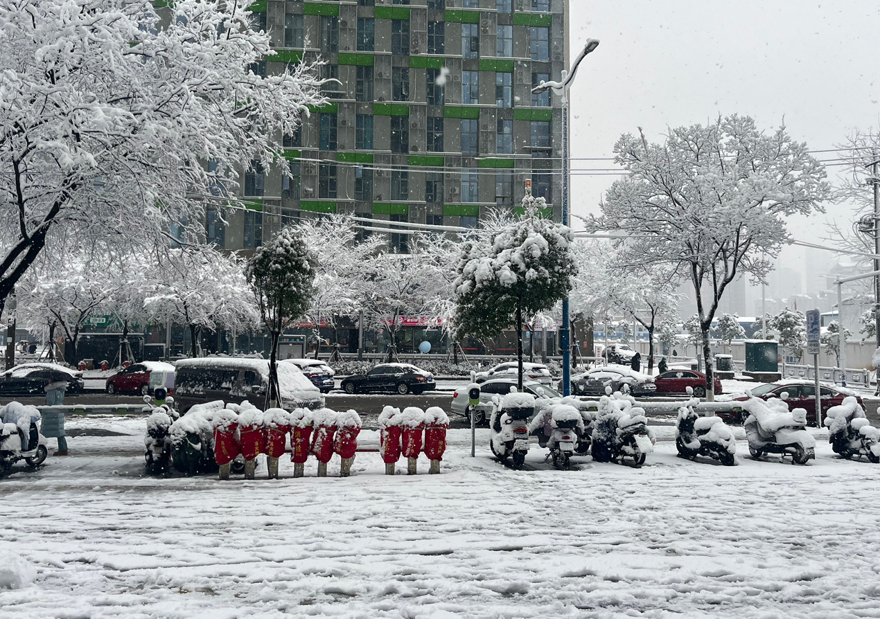 广东人第一次见这么大的雪[二哈][二哈]#下雪了# ​​​