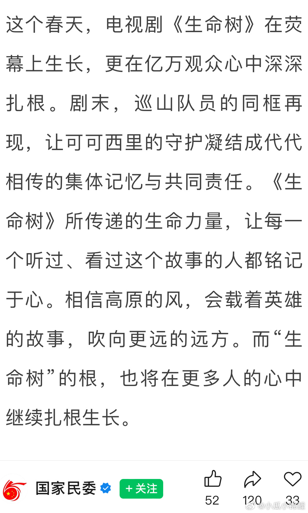 国家民委夸赞生命树 