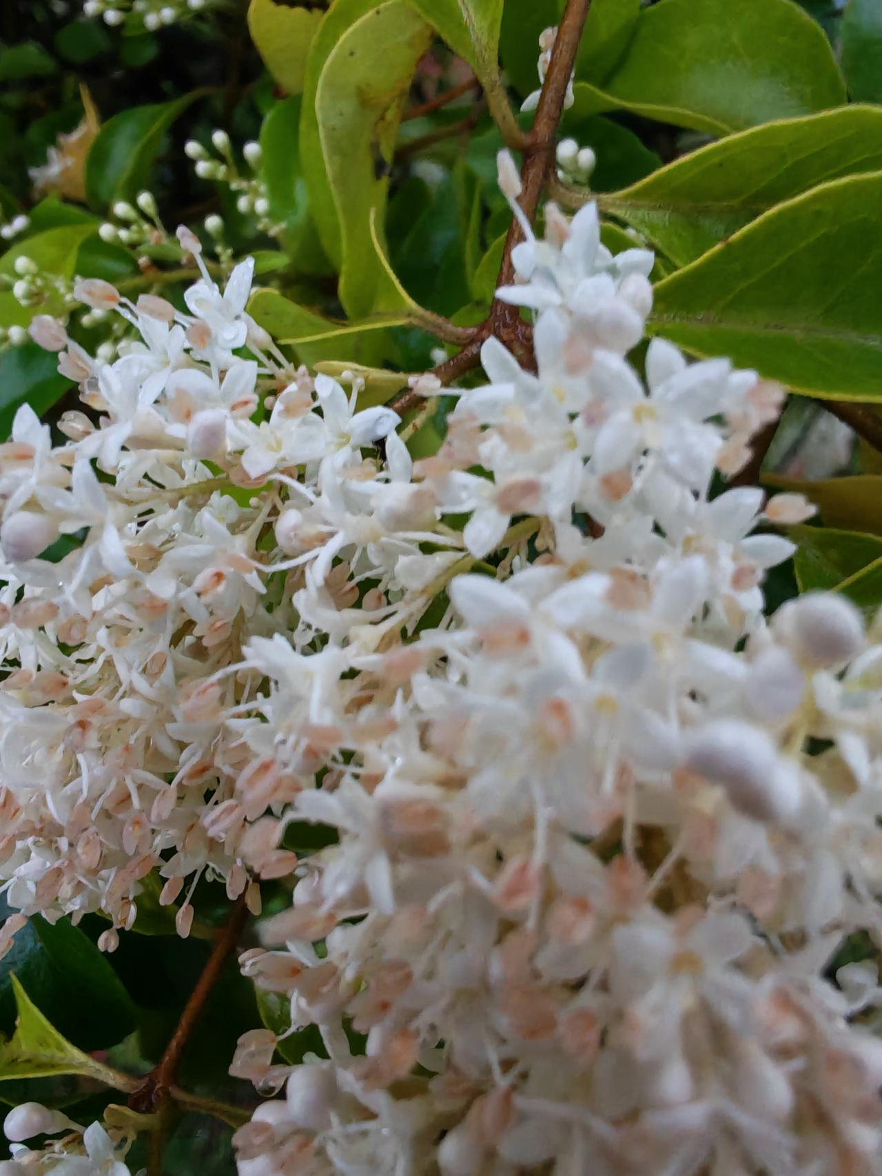 每日一图随手拍