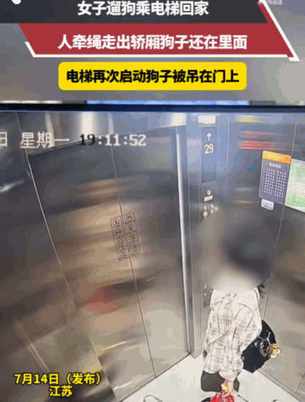 悲剧还是发生了！江苏，一女子悠闲走出电梯，低头看着手机，丝毫没察觉身后的异样。电