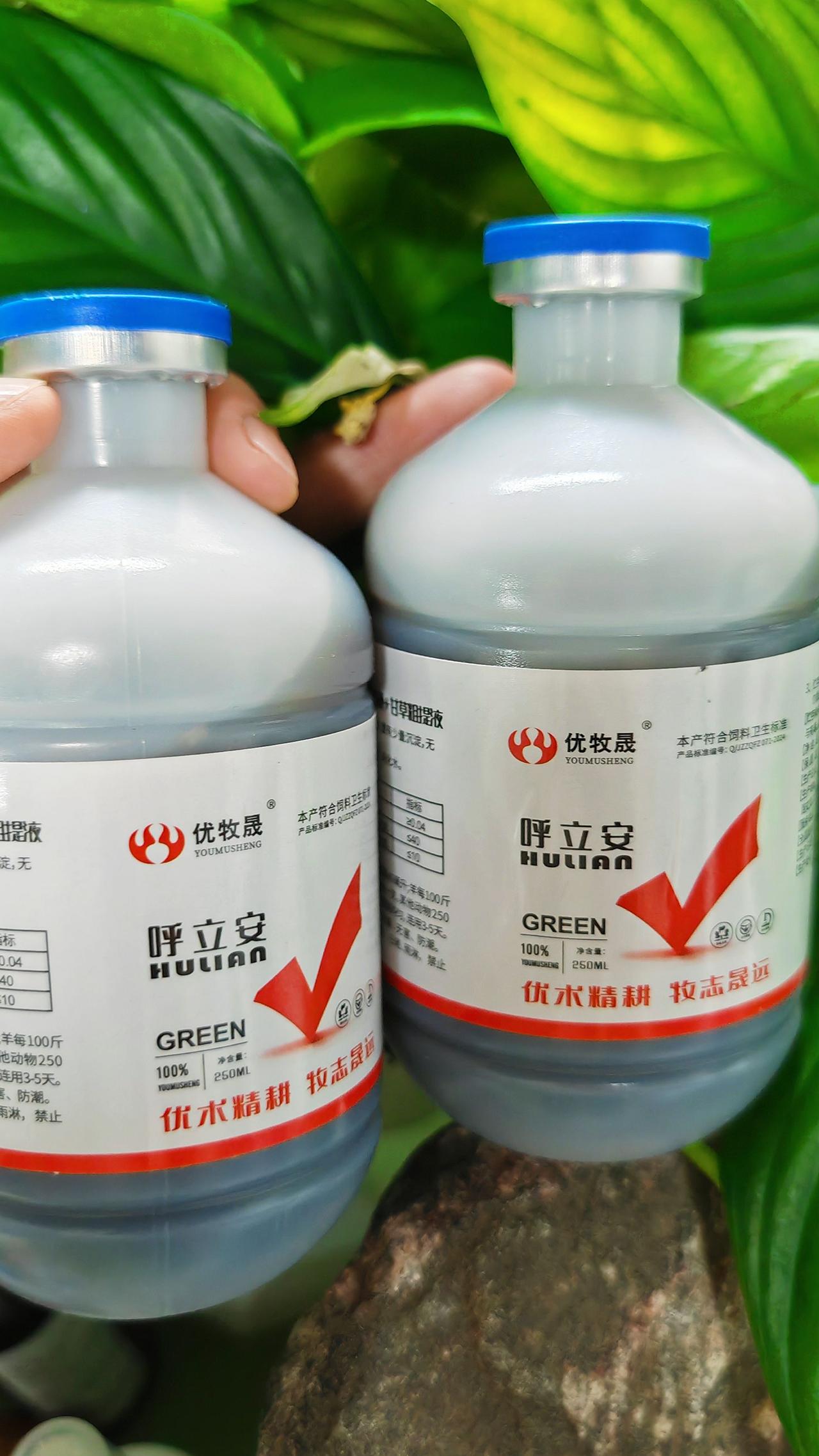 养羊人 农村养羊