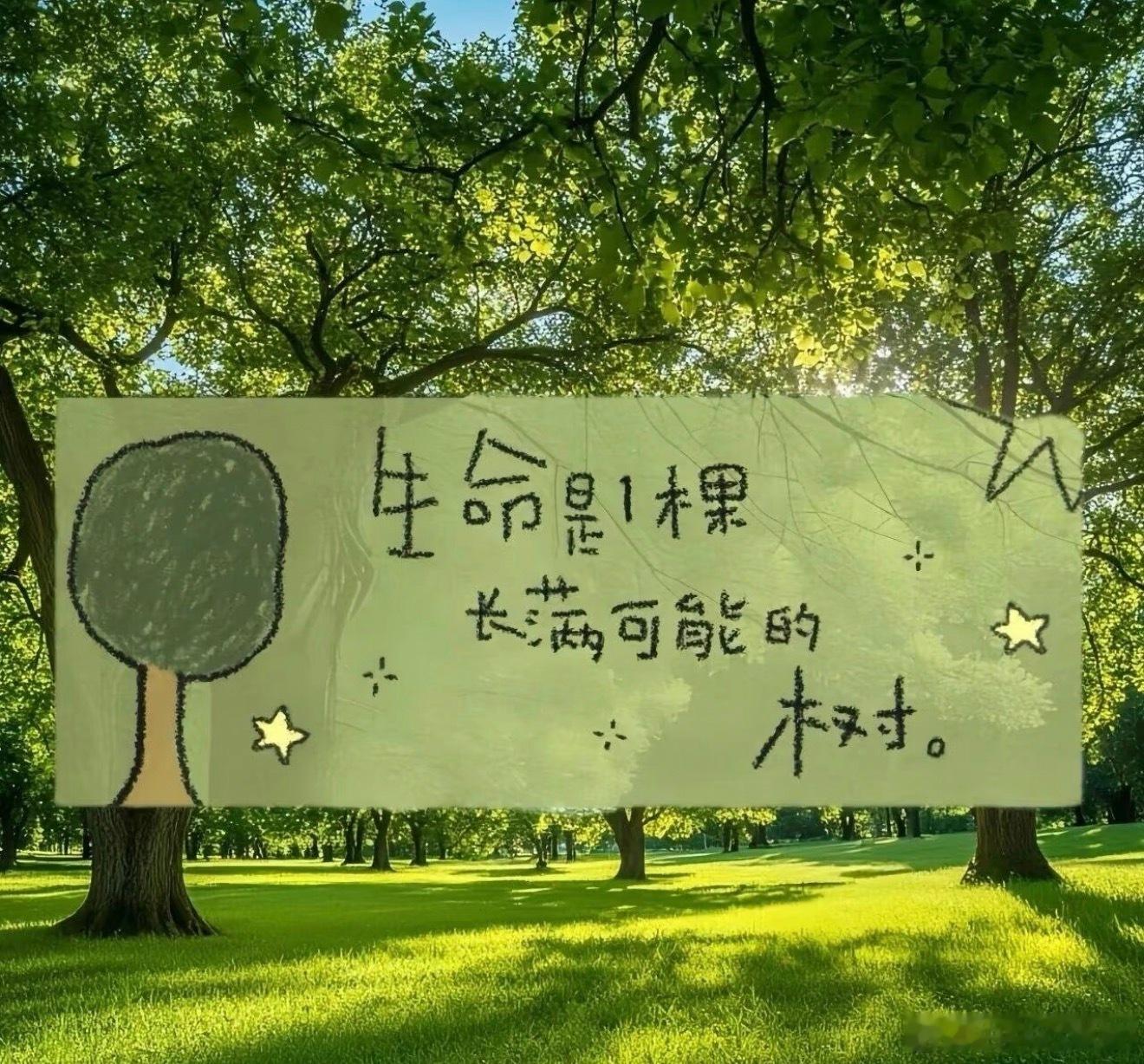 阳光信用  “好心情，好状态，才会好运气”执着理想，纯粹当下。允许自己脆弱，允许