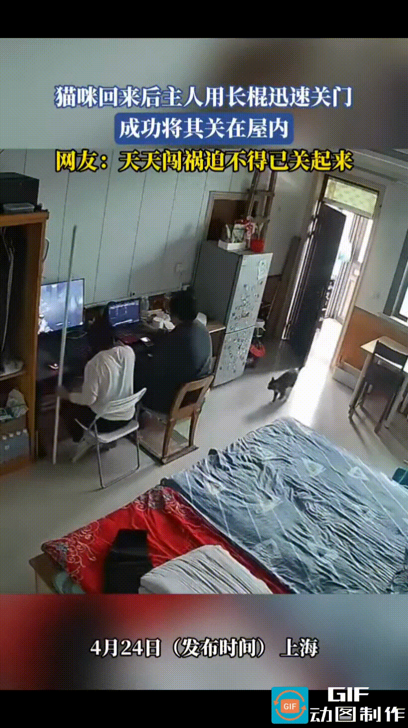 这猫咪成精了，主人刚一动，它马上就预判到，主人下一步要干什么。
猫咪在外面疯够了