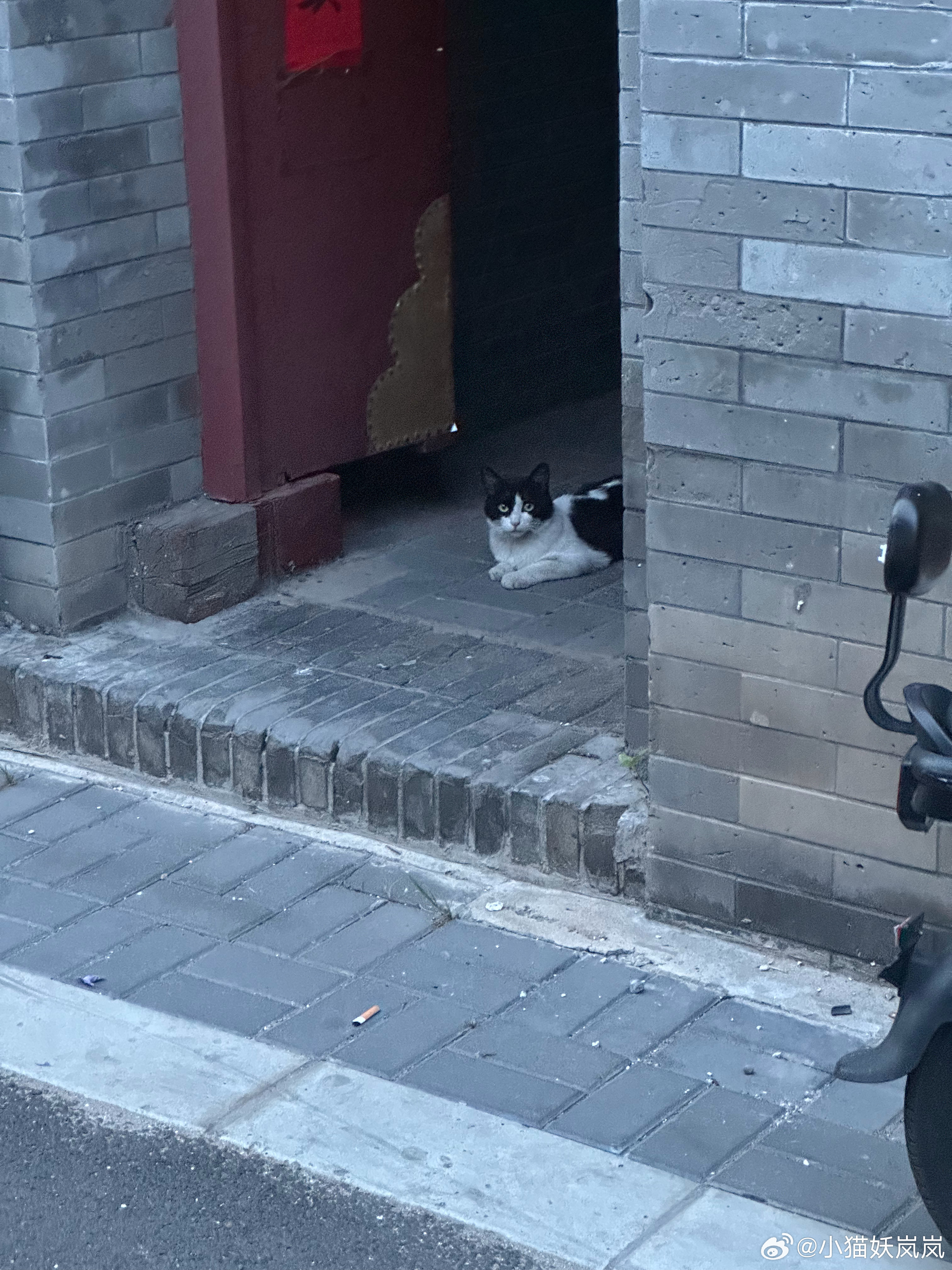 看个书馆比专场拿的东西还多不过今天真的好快乐天津能不能不要这么热啊 